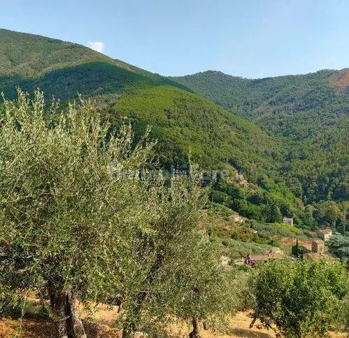 Rustico via Vecchia Di Tre Colli, Calci - foto 4