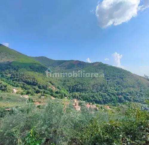 Rustico via Vecchia Di Tre Colli, Calci - foto 5