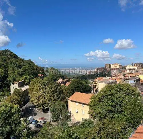 Appartamento in vendita a Allumiere