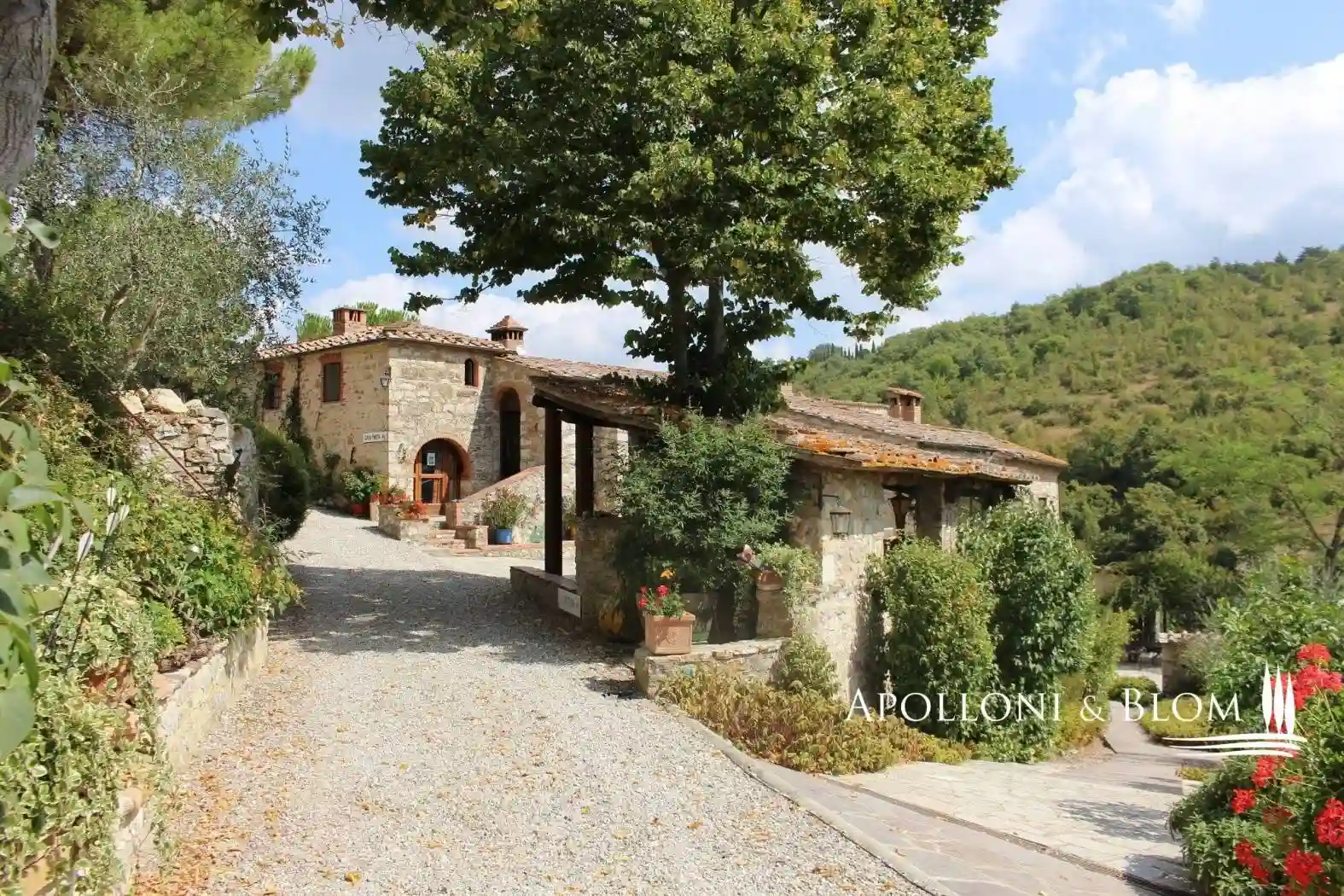 Rustico - Casale - foto 5