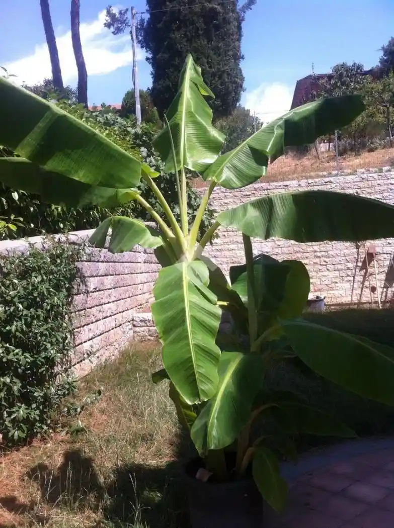 Villa a schiera via Gualdese, Sant'Egidio - Aeroporto, Perugia - foto 4