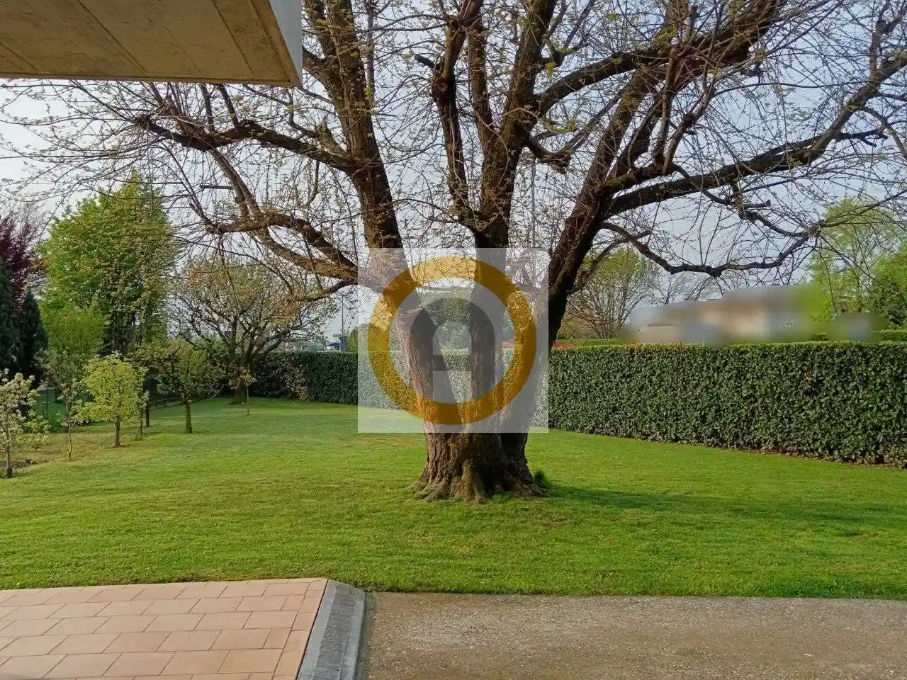 Terratetto unifamiliare 370 m², ottimo stato, Centro, Bassano del Grappa - foto 3