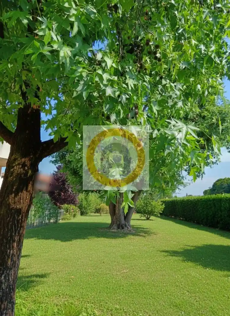 Terratetto unifamiliare 370 m², ottimo stato, Centro, Bassano del Grappa - foto 4