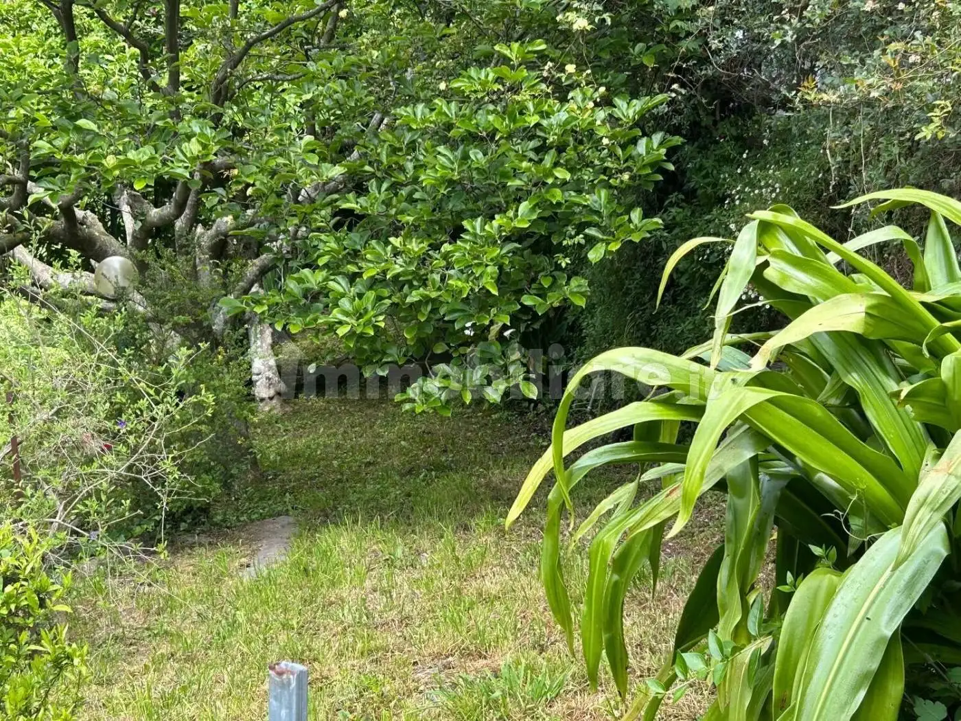 Villa unifamiliare via Montepegli, 18, Sant'Andrea di Foggia - Montepegli, Rapallo - foto 5