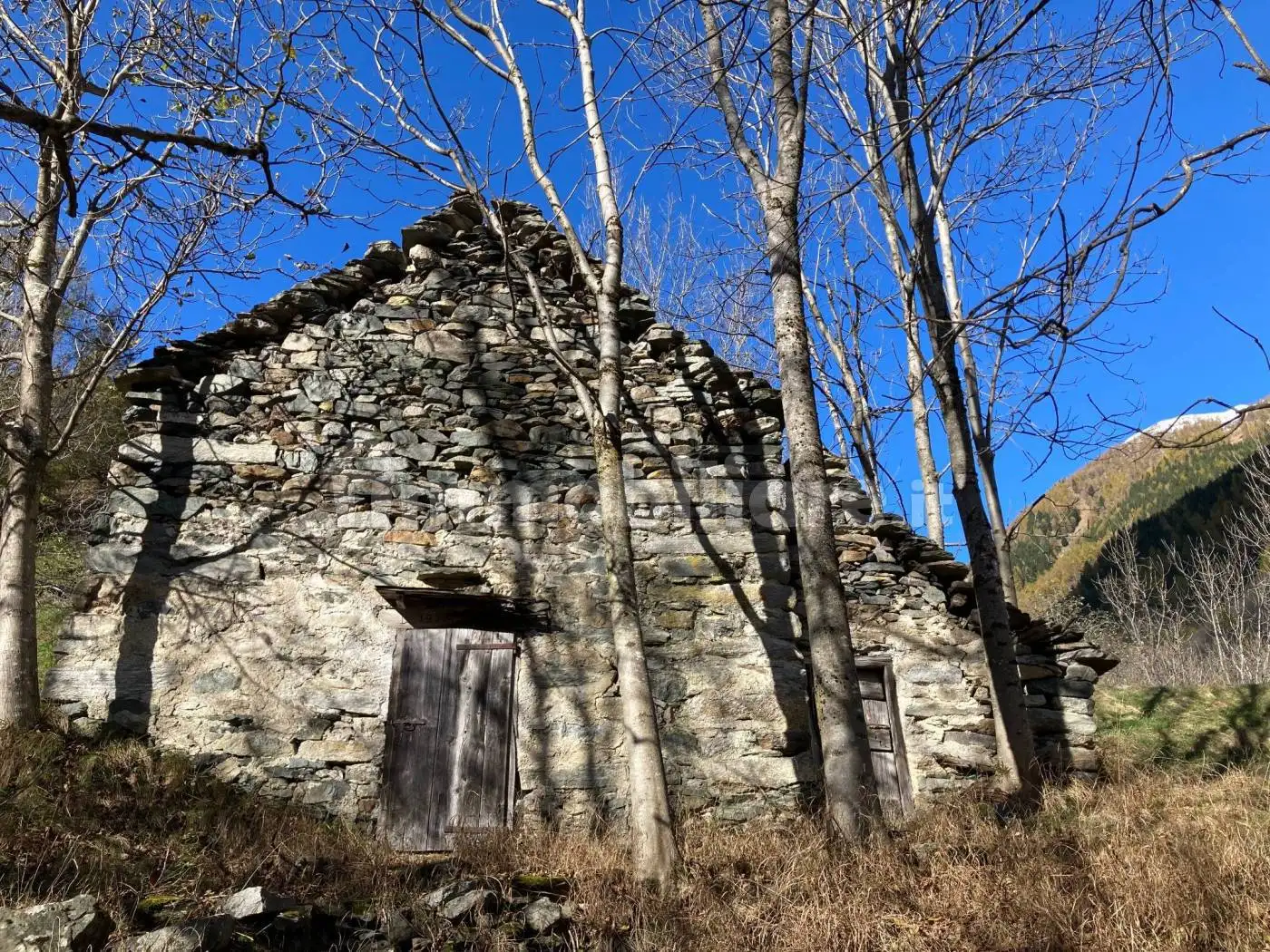 Rustico - Casale in vendita a Bognanco