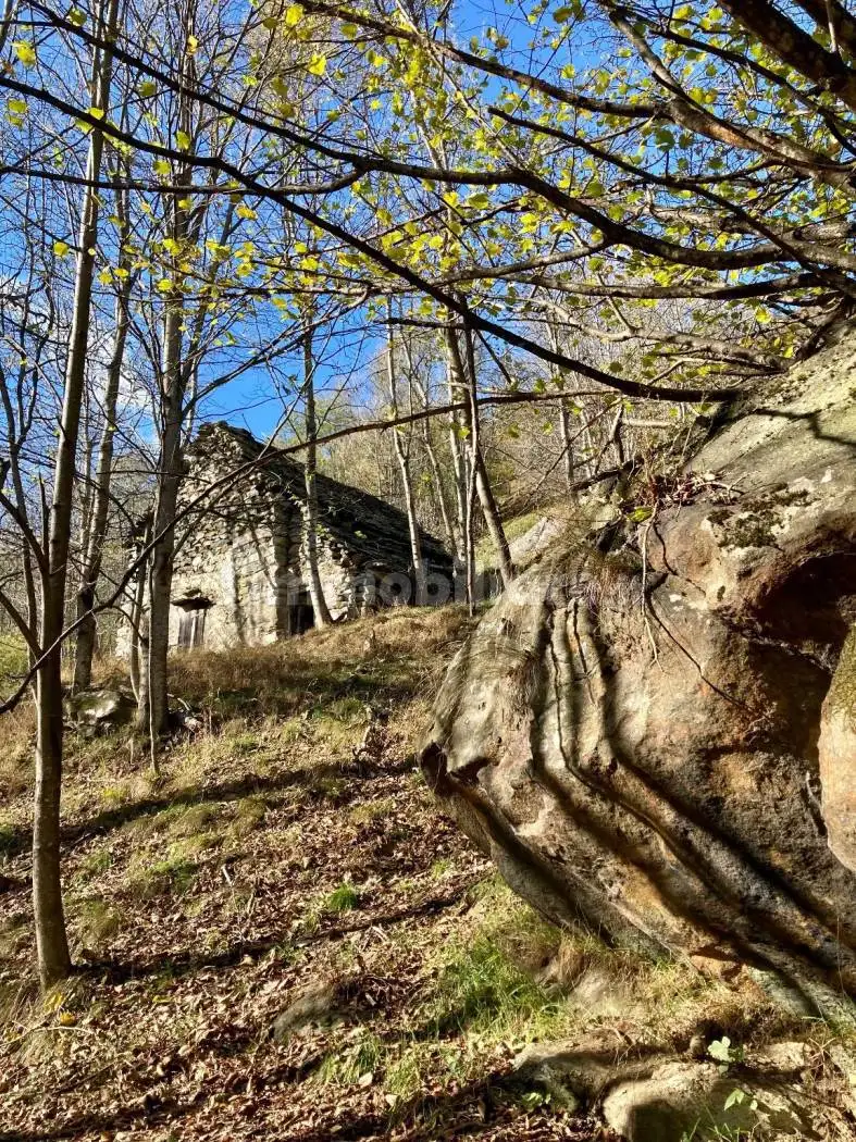 Baita Località Pizzanco, Bognanco - foto 3