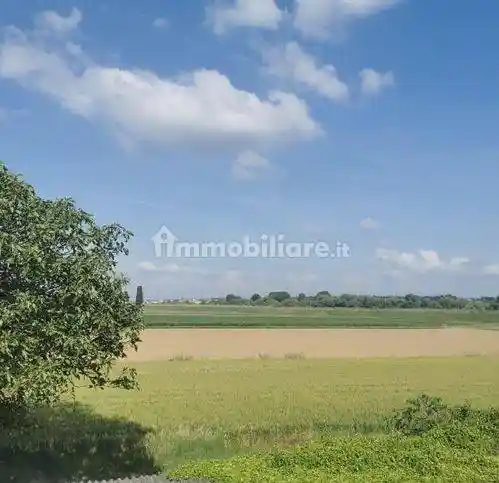 Rustico - Casale in vendita a Santa Maria a Monte