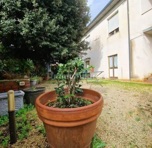 Villetta a schiera in vendita a Fauglia