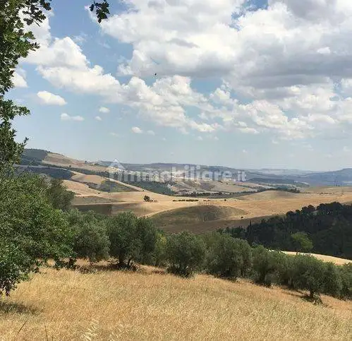 Appartamento in vendita a Grassano