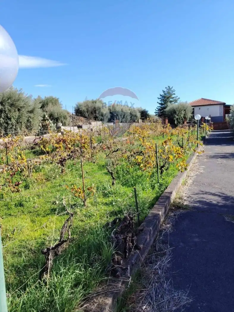 Terratetto unifamiliare Contrada Solicchiata SNC, Adrano - foto 2