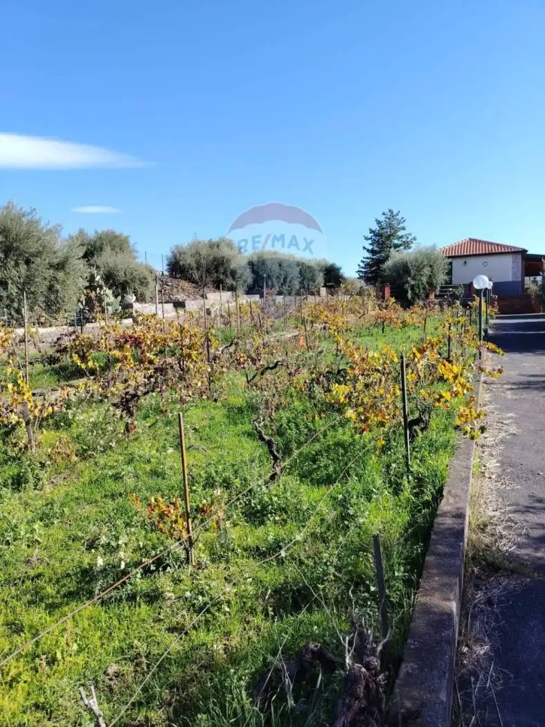 Terratetto unifamiliare Contrada Solicchiata SNC, Adrano - foto 3