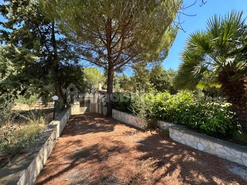 Palazzo - Edificio in vendita a Serracapriola