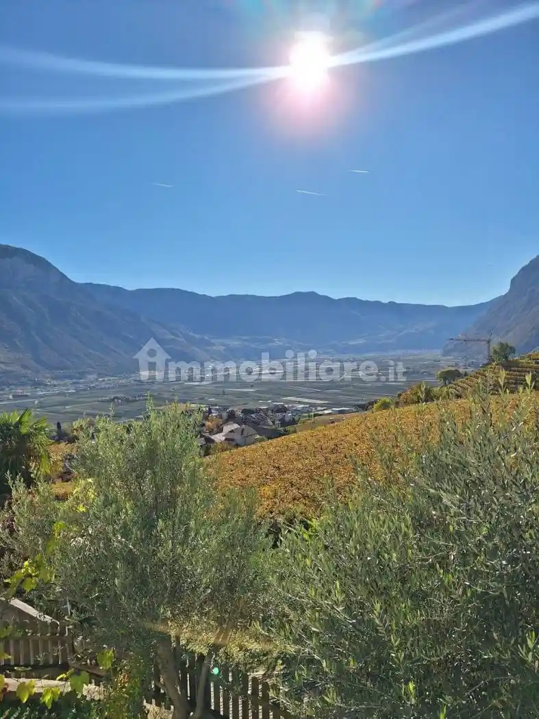 Trilocale Strada Provinciale Cortaccia 19A, Cortaccia sulla Strada del Vino - foto 4