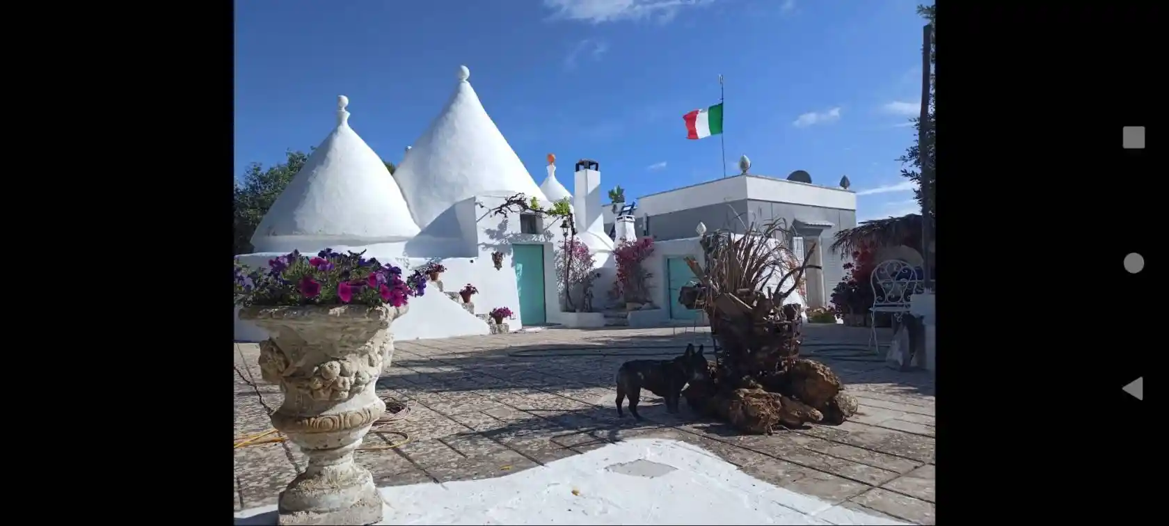 Rustico - Casale in affitto a Ostuni
