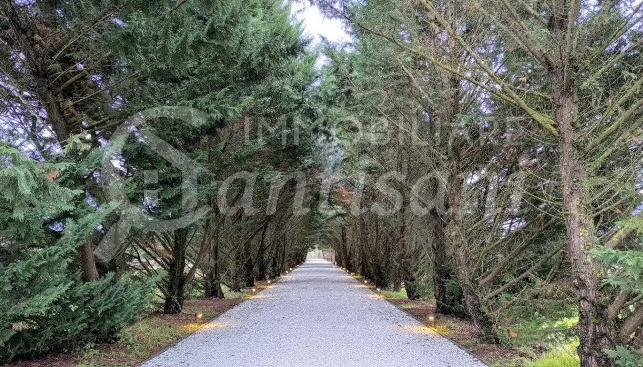 Quadrilocale Località Gracchia, Mattagnano, Vicchio - foto 3