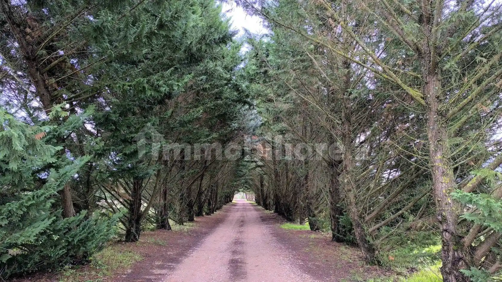Quadrilocale Località Gracchia, Mattagnano, Vicchio - foto 4