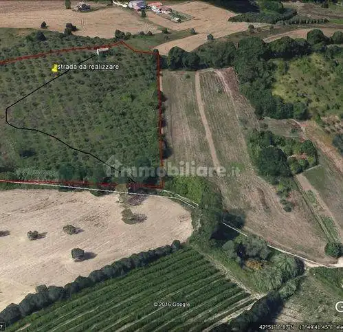 Rustico - Casale in vendita a Controguerra