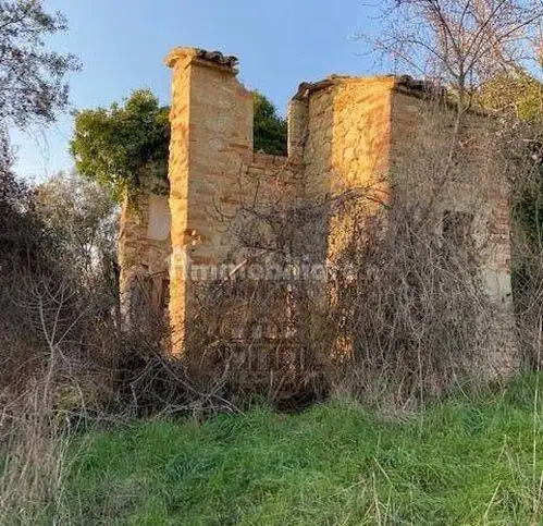 Rustico - Casale in vendita a Ripatransone