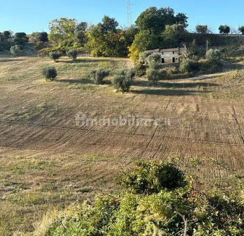 Rustico - Casale in vendita a Massignano