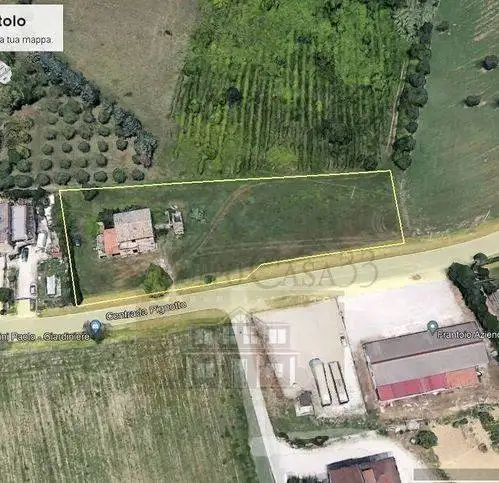 Rustico, da ristrutturare, 323 m², Controguerra - foto 3