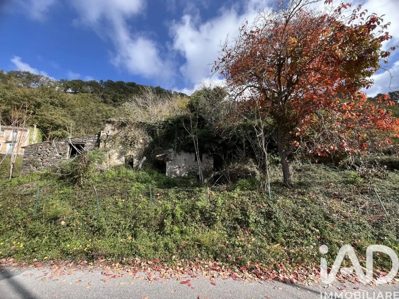 Rustico - Casale in vendita a Belmonte Calabro