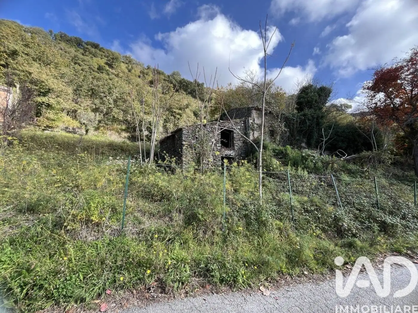 Rustico Località Santa Barbara, Santa Barbara, Belmonte Calabro - foto 2