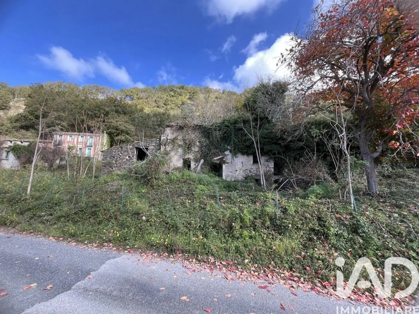 Rustico Località Santa Barbara, Santa Barbara, Belmonte Calabro - foto 3