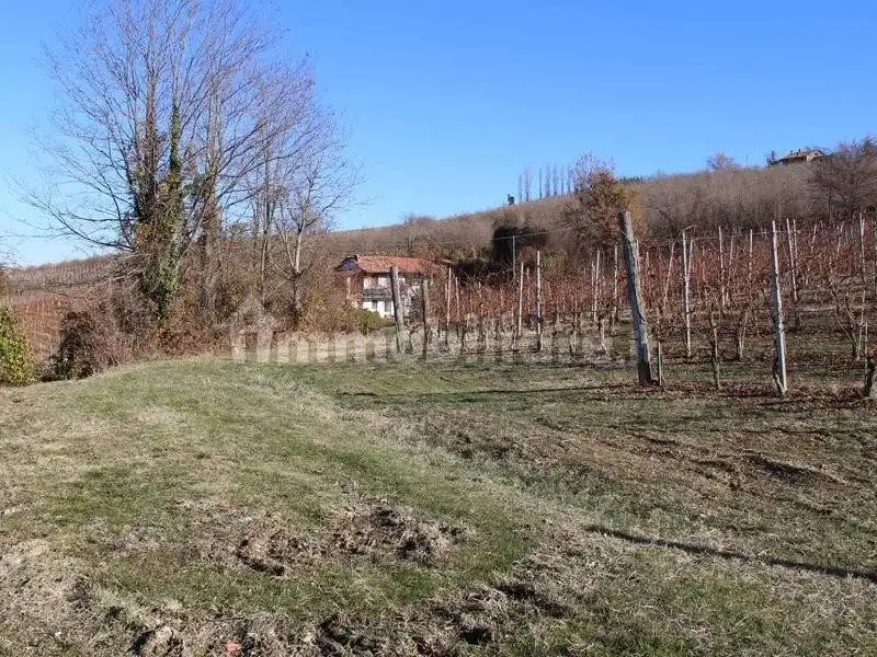 Rustico, ottimo stato, 178 m², Dogliani - foto 2