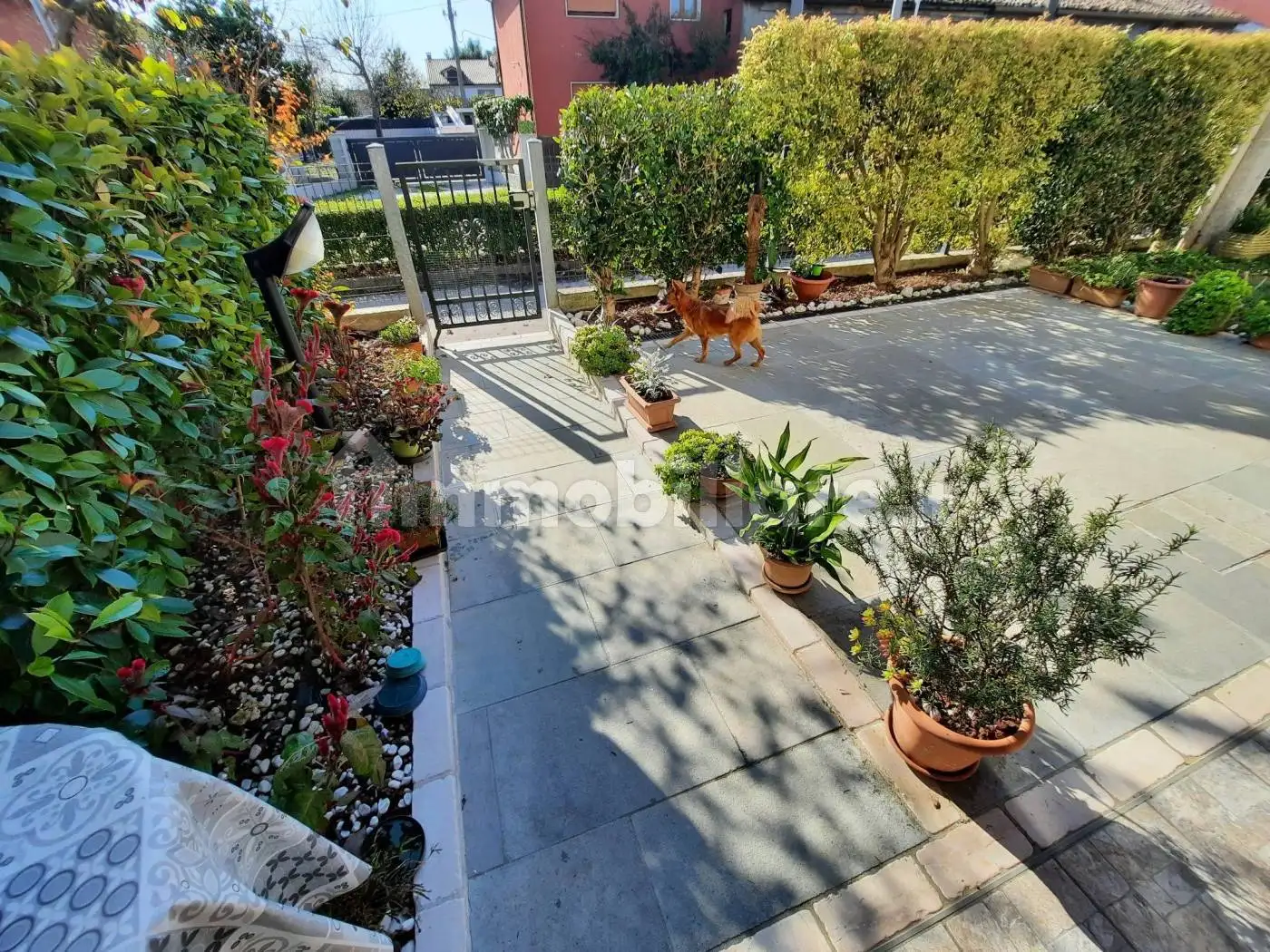 Appartamento in vendita a Trebaseleghe