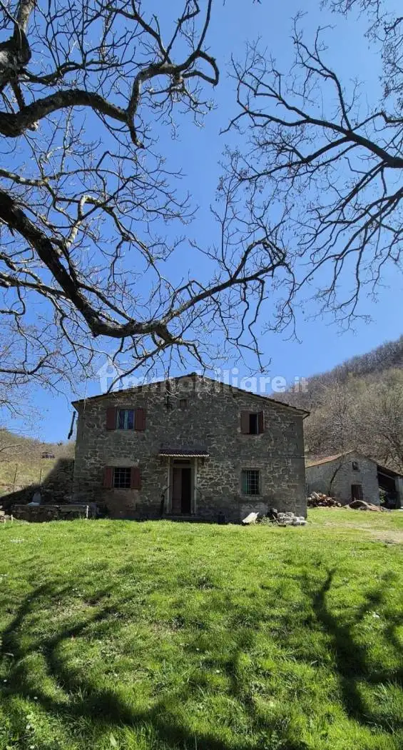 Rustico - Casale in vendita a San Godenzo