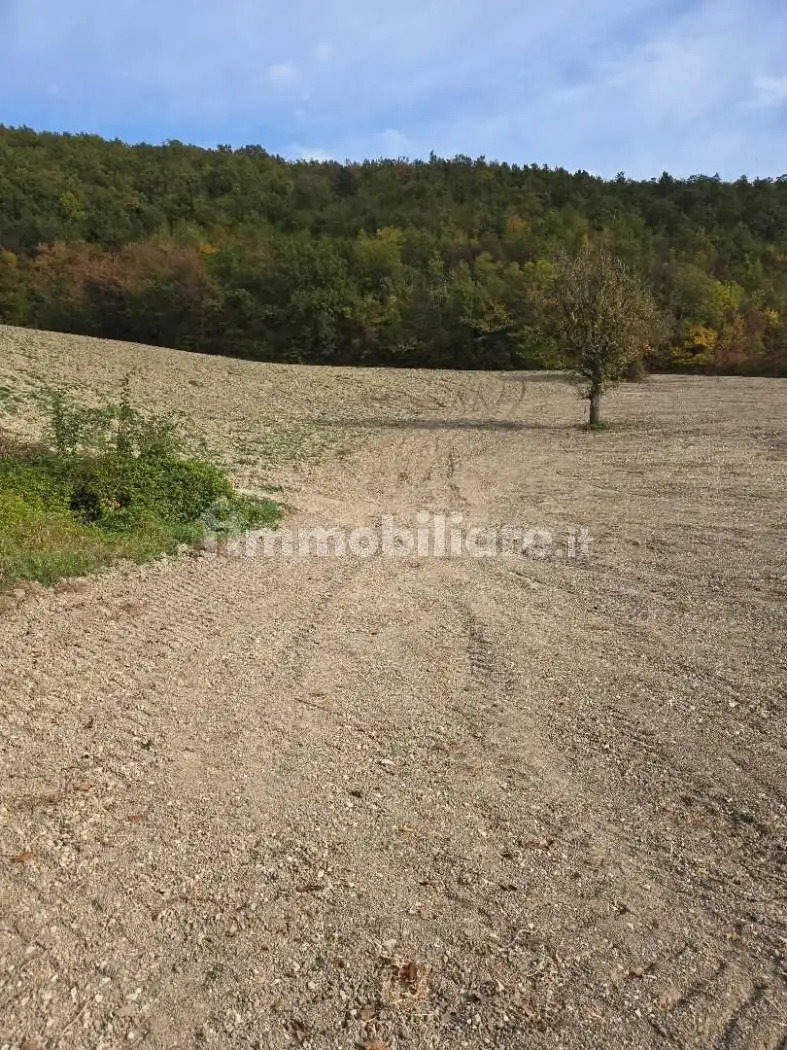Palazzo - Edificio in Vendita - foto 3