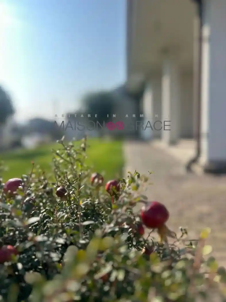 Villa unifamiliare Strada Guarene 15, Mussotto, Corso Asti, Alba - foto 3