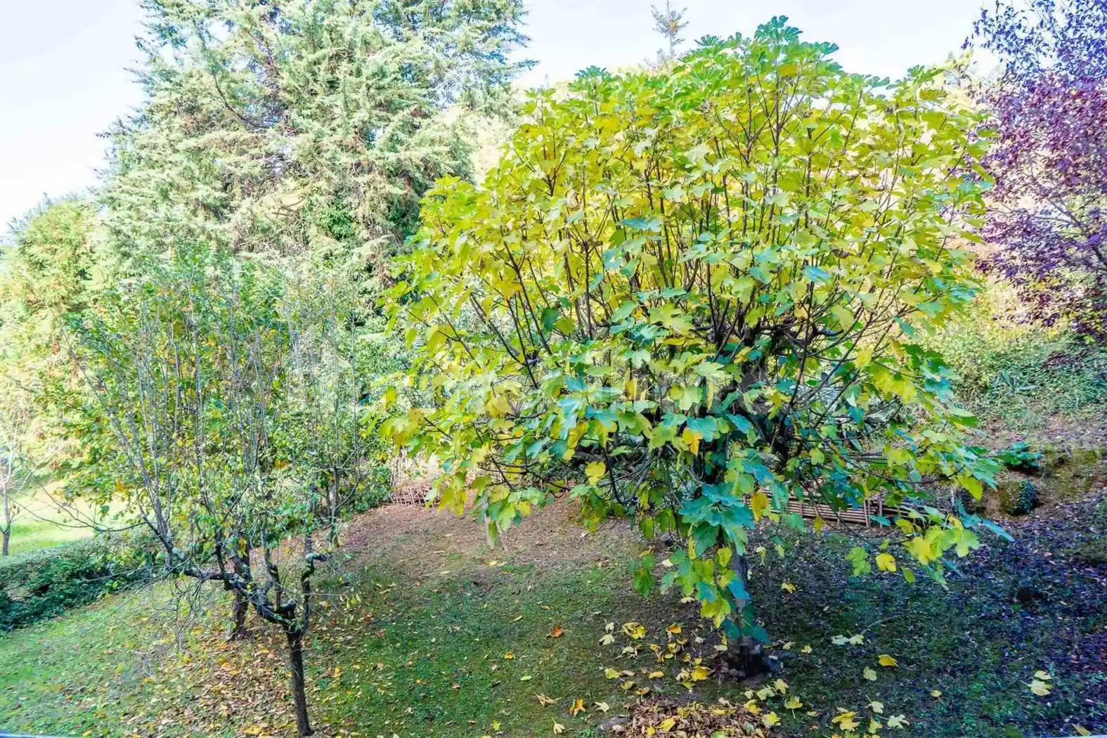 Appartamento buono stato, Petriccio - Acquacalda, Siena - foto 5