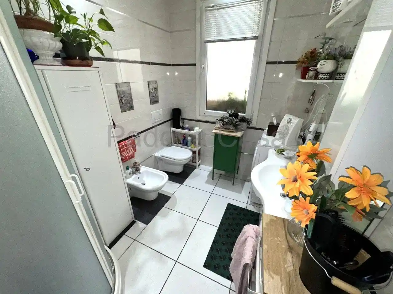 Trilocale buono stato, piano terra, Pontevigodarzere - Isola di Torre, Padova - foto 5