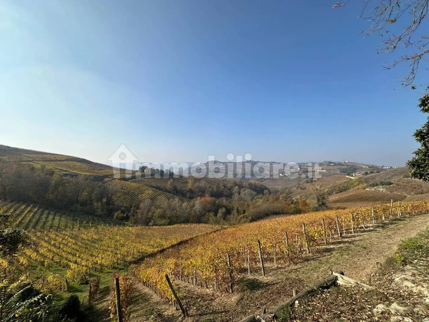 Cascina regione Santa Libera, Canelli - foto 5