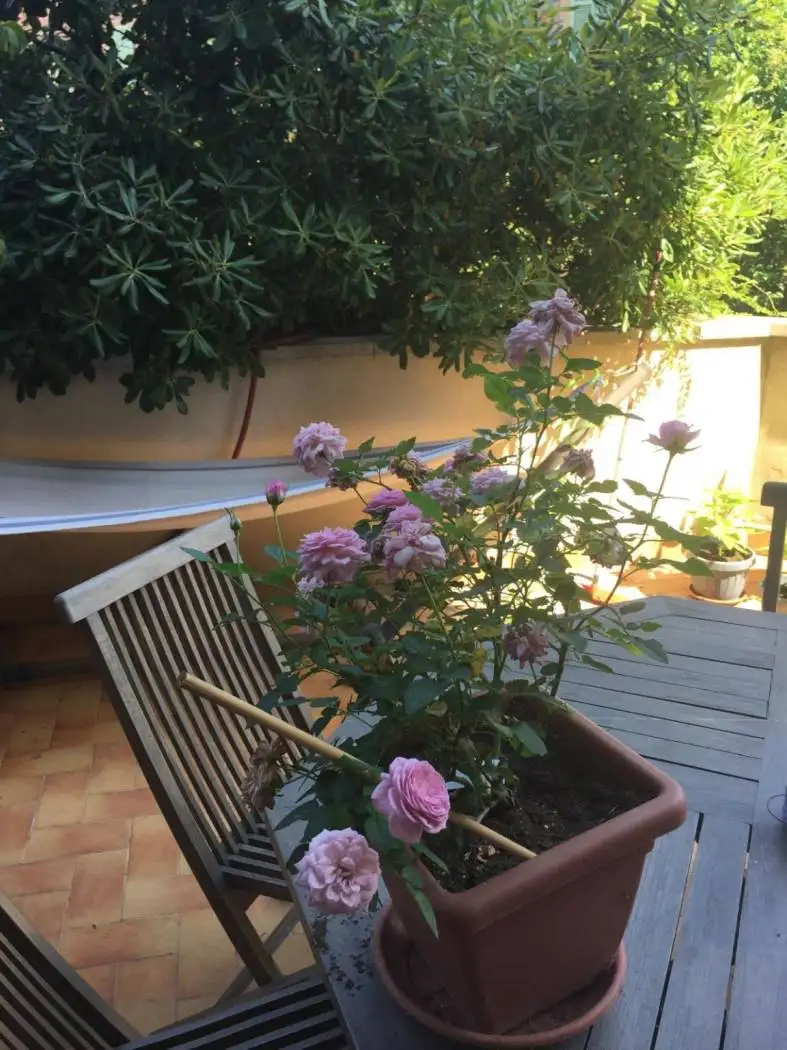 Appartamento in affitto a Bologna