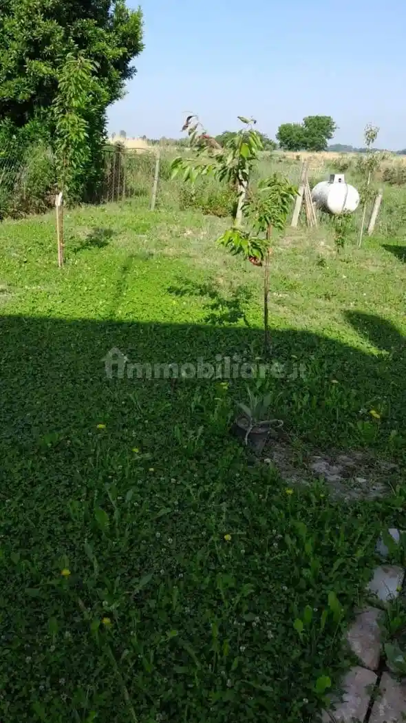 Villa unifamiliare, da ristrutturare, 100 m², Chiesa, Frassinelle Polesine - foto 2