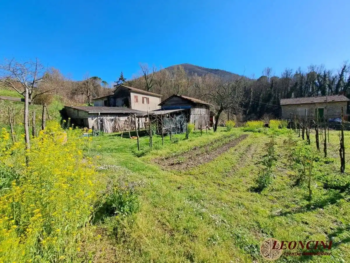 Rustico - Casale - foto 4