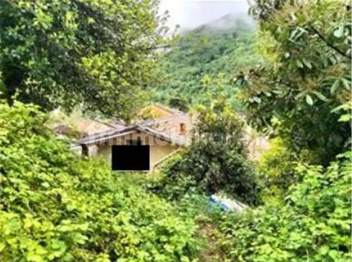 Casa indipendente in asta a Valbrona