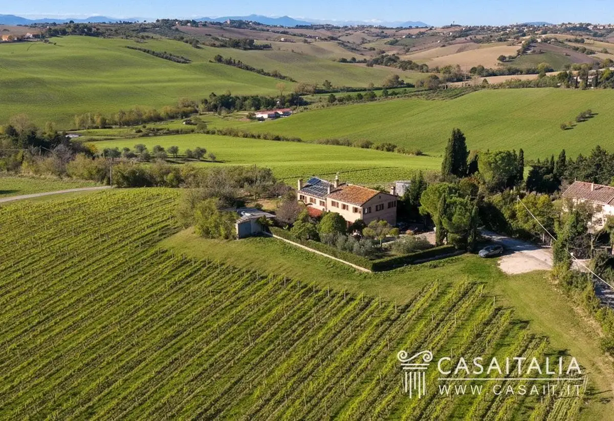 Villa in vendita a Monte San Vito