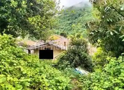 Palazzo - Stabile - foto 2