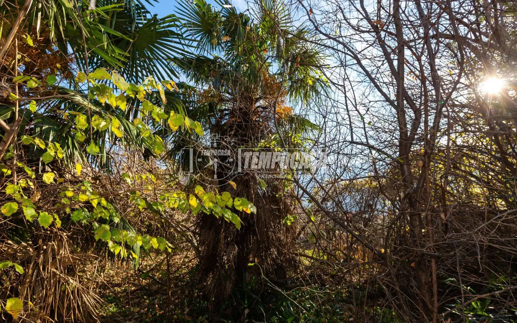 Terratetto unifamiliare via Fucine Inferiori 2/a, Centro, Condove - foto 4