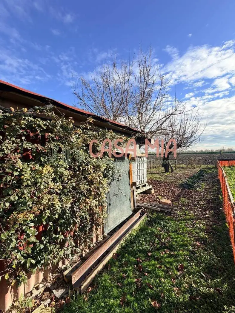 Terratetto plurifamiliare Località Puglia, Calendasco - foto 5