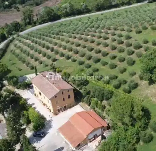 Rustico Sp146 32, Chiusi - foto 2