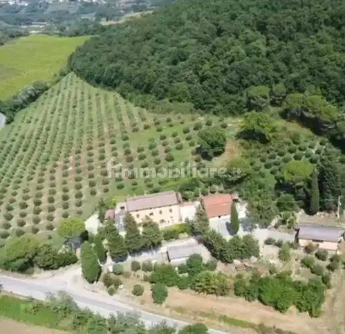 Rustico Sp146 32, Chiusi - foto 4