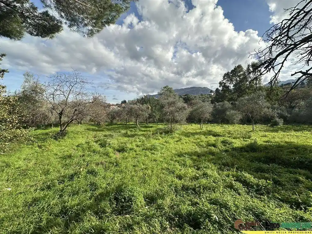 Villa in vendita a Monreale
