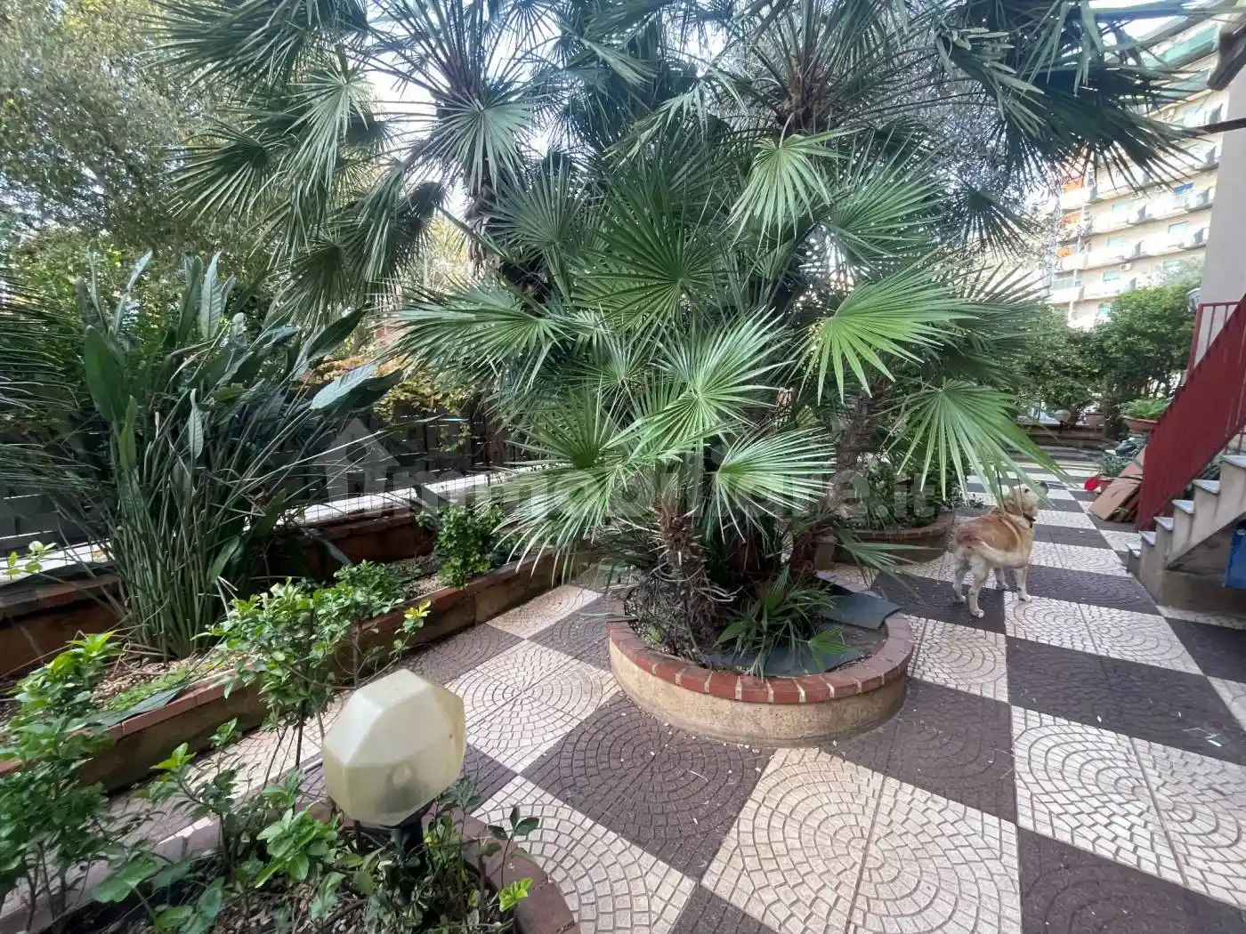 Quadrilocale via Villa Sofia, Resuttana, Palermo - foto 5