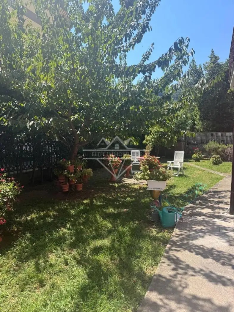 Appartamento in affitto a Carrara