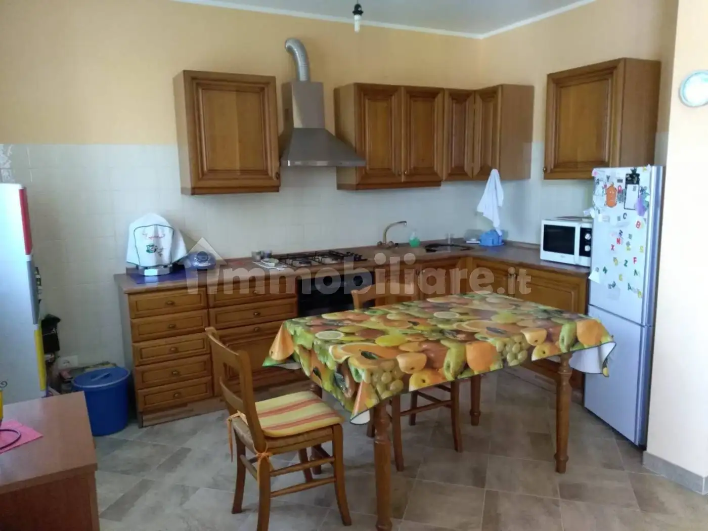 Appartamento in affitto a Castel d'Ario