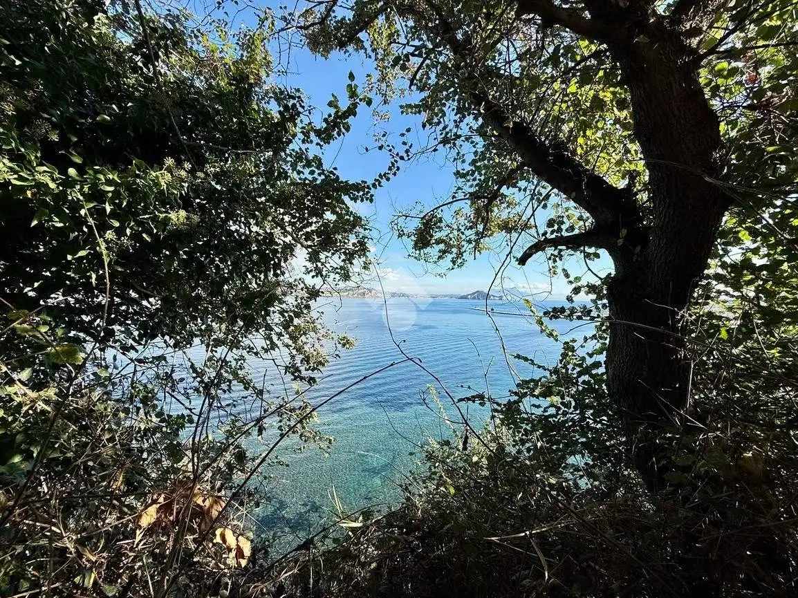 Appartamento in vendita a Procida